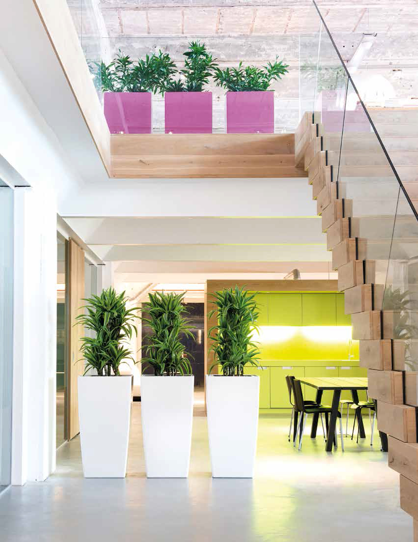 Plantation Interiors Dallas Fort Worth S Interior Plant