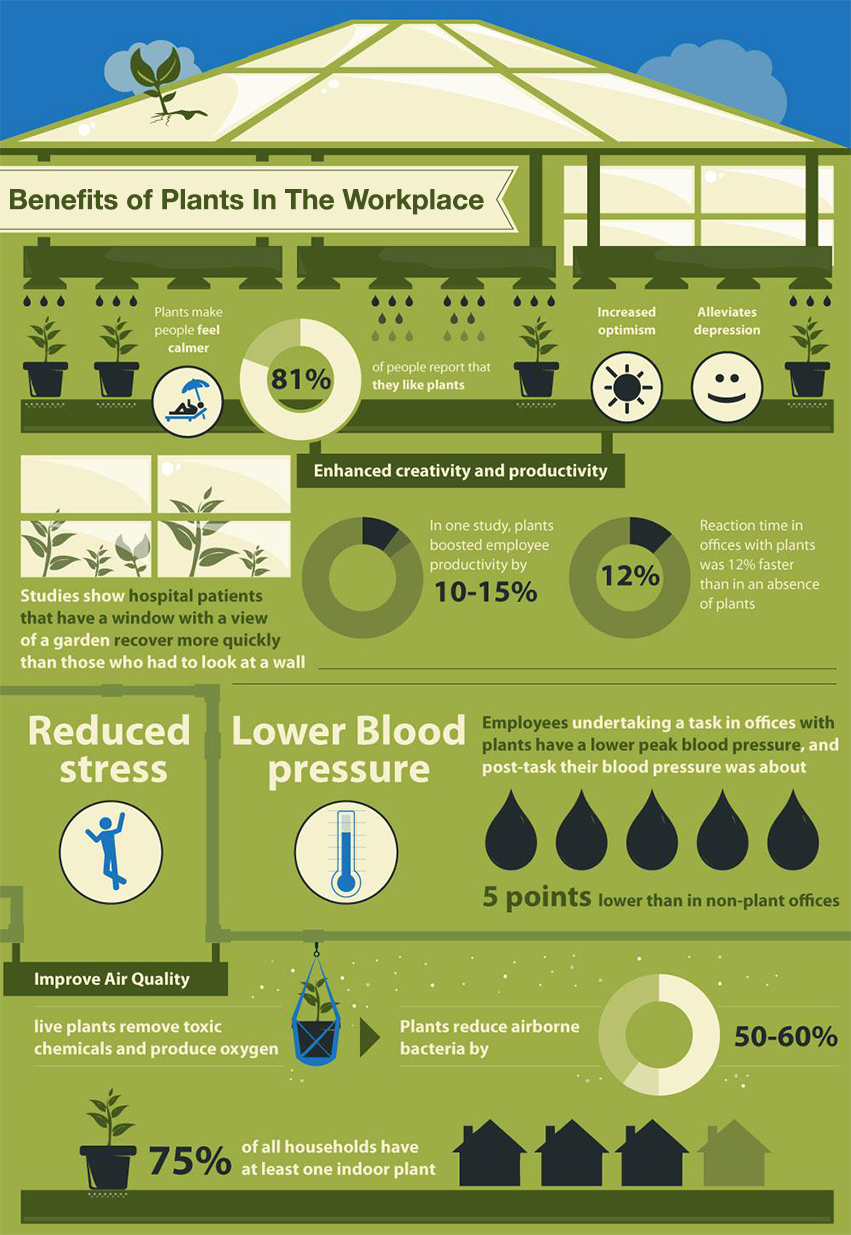 Reduced lower. Инфографика растения. Инфографика по растениям. Инфографика выращивание растений. Зеленые советы.